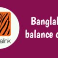 Banglalink balance check 2024 BL balance check code number