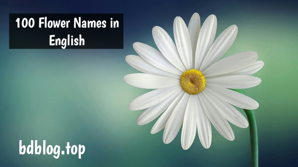 100 Flower Names in English