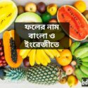 ফলের-নাম-বাংলা-ও-ইংরেজী